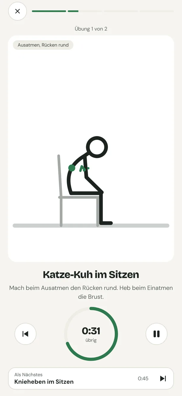 Der Player: Katze-Kuh im Sitzen mit Ring-Timer