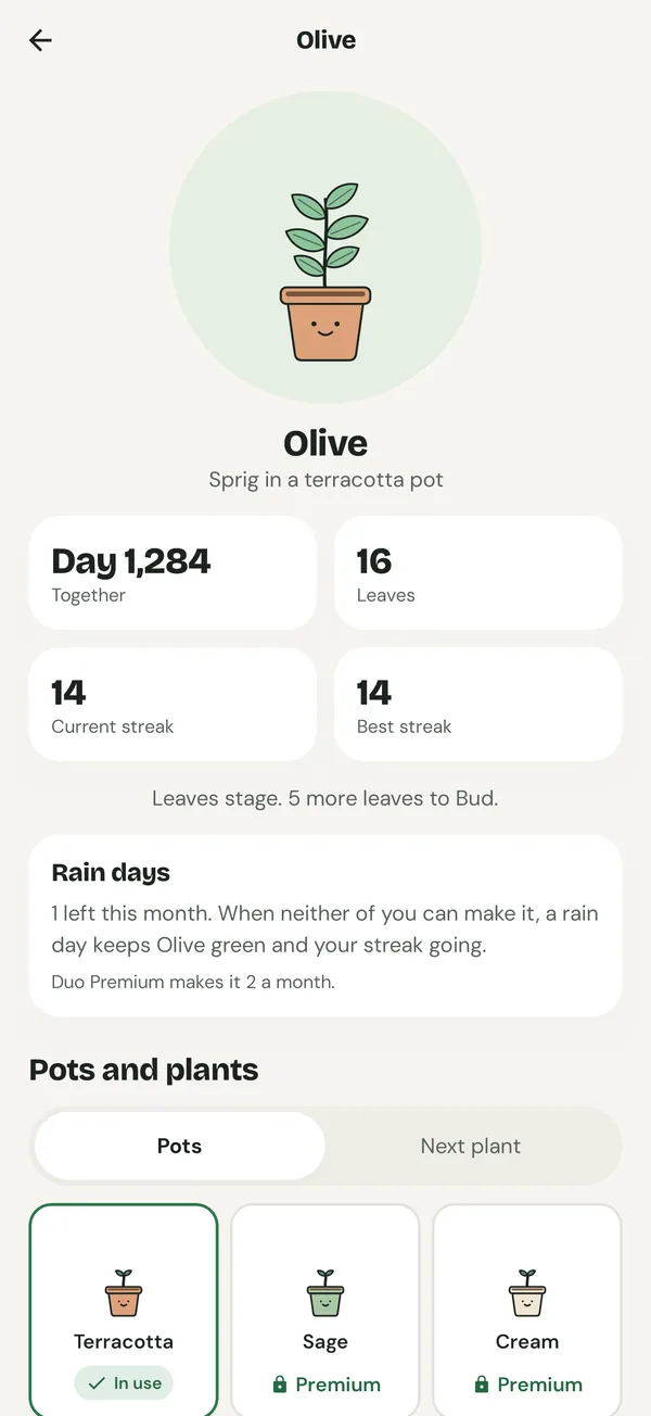 Olive the plant: Day 1,284, 16 leaves, a 14-day streak and the pots you can choose